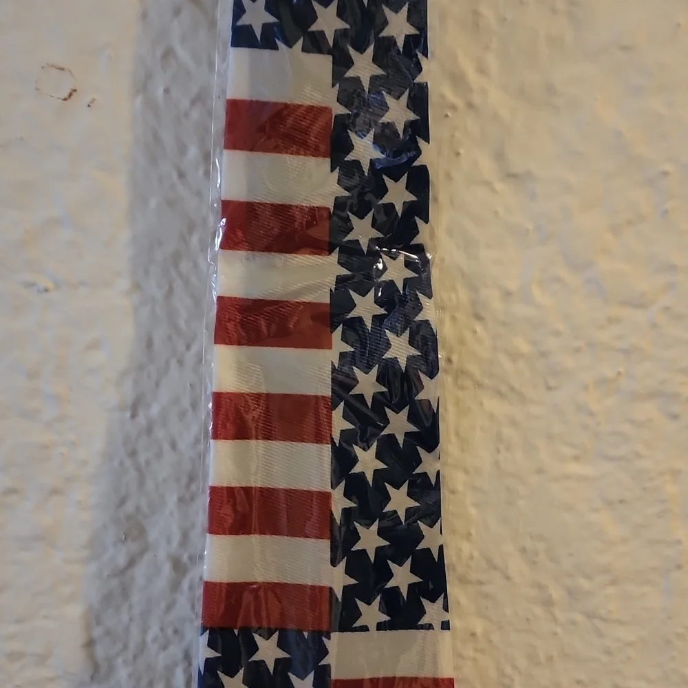 LOT OF 10 AMERICAN FLAG TIES